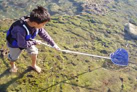 神埼地区保護司会,子ども,安心安全,子育て,かささぎ